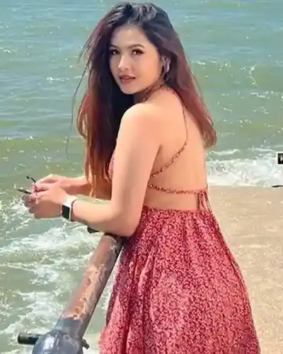 Mandawali Escort Service